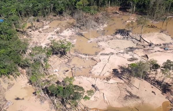 TI Yanomami é a segunda área protegida mais desmatada na Amazônia