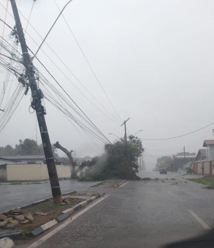 Chuva e vento forte provocam quedas de árvores em bairros de Boa Vista