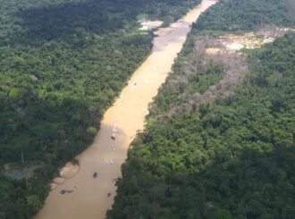 Corpos de oito garimpeiros são encontrados em área onde ocorreu morte de indígena na Terra Yanomami