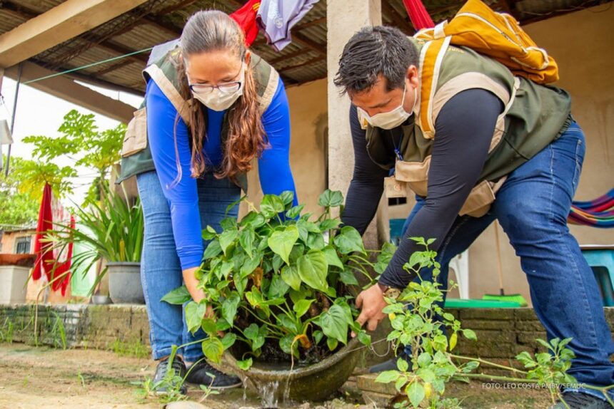 Ação contra o Aedes Aegypti visita mais de mil casas no bairro Operário