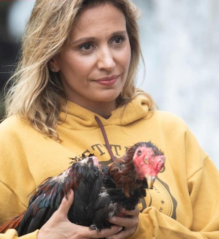 Ativista acusa Telmário de se beneficiar de causa animal para manter rinha de galos