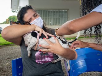 Vacinação contra a raiva continua neste sábado em Boa Vista