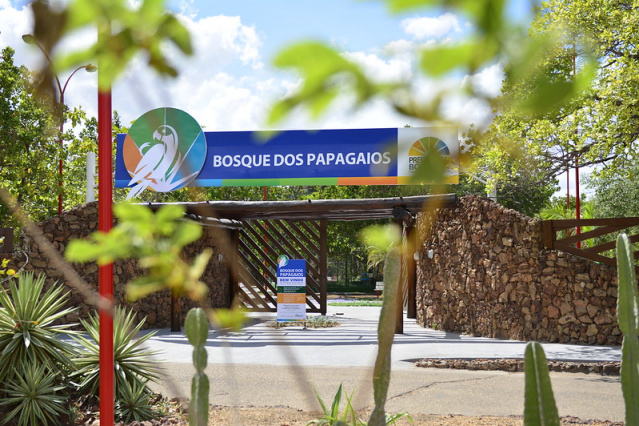 Bosque dos Papagaios passará por manutenção a partir desta sexta-feira