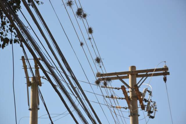 Prefeitura estima prejuízo de R$ 400 mil com furto de cabos de energia