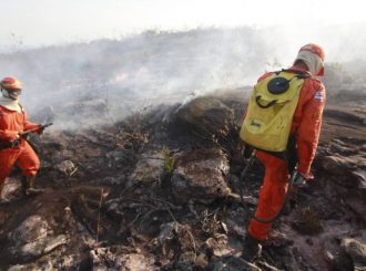 Em Alto Alegre, quatro incêndios criminosos são investigados; Roraima vive grave período de estiagem