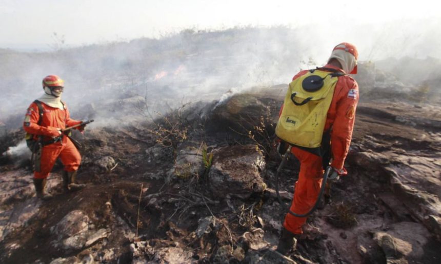Polícia Civil investiga quatro incêndios criminosos em Alto Alegre; agricultor foi indiciado por um dos casos