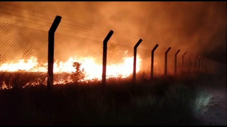 Incêndio atinge área de lavrado do campus Cauamé da UFRR