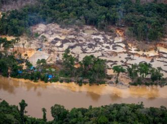 Mortes de crianças indígenas e garimpo ilegal cresceram em RR