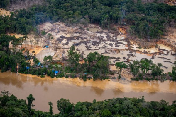 Mortes de crianças indígenas e garimpo ilegal cresceram em RR