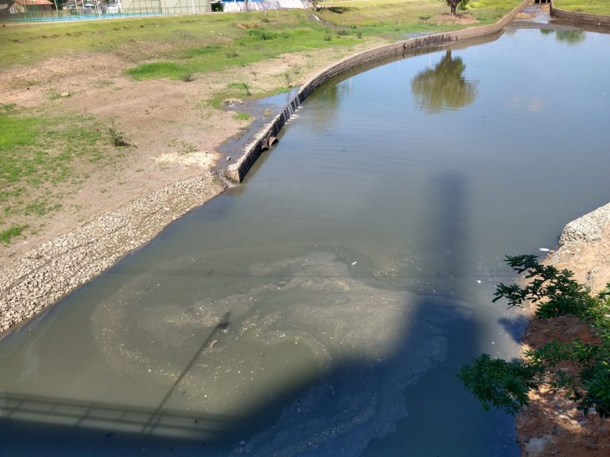 Despejo de esgoto no Parque do Rio Branco causa mau cheiro e morte de peixes