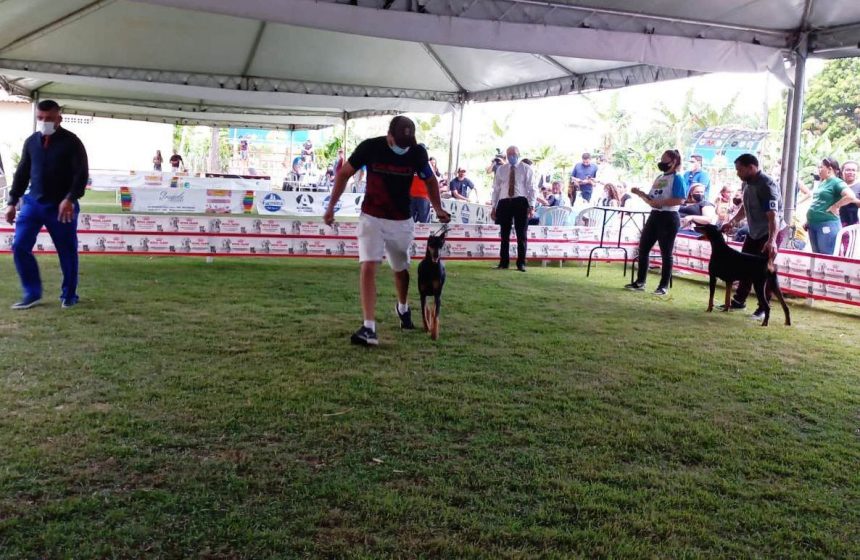 Exposição reúne mais de 70 cães de raça em Roraima