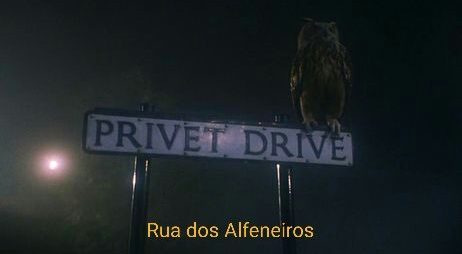 Há 20 anos, a febre Harry Potter chegava no Brasil