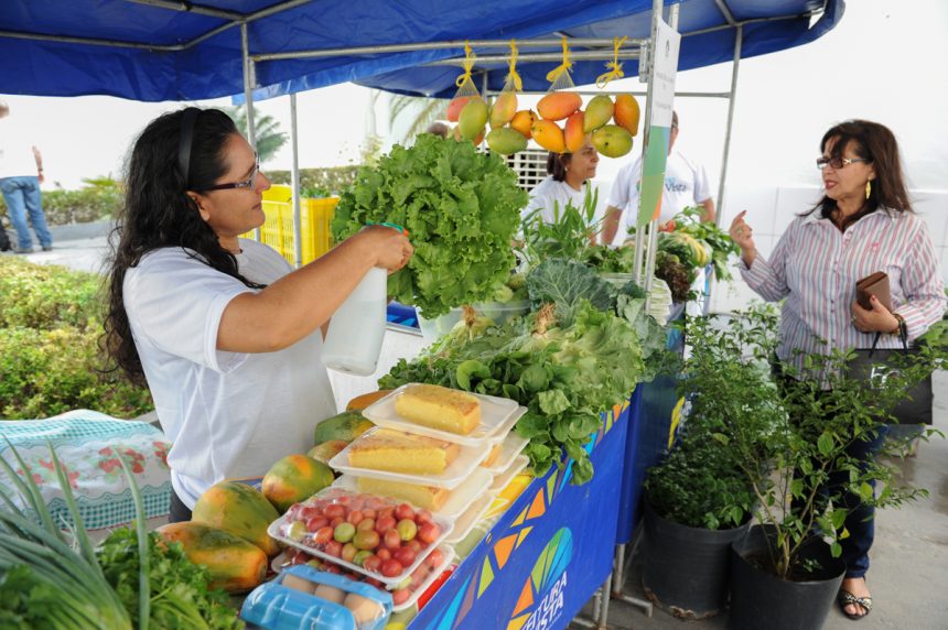 Feira do Pintolândia receberá ação sobre empreendedorismo