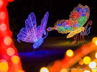 Acendimento das luzes de Natal no Parque do Rio Branco ocorre neste domingo, 9