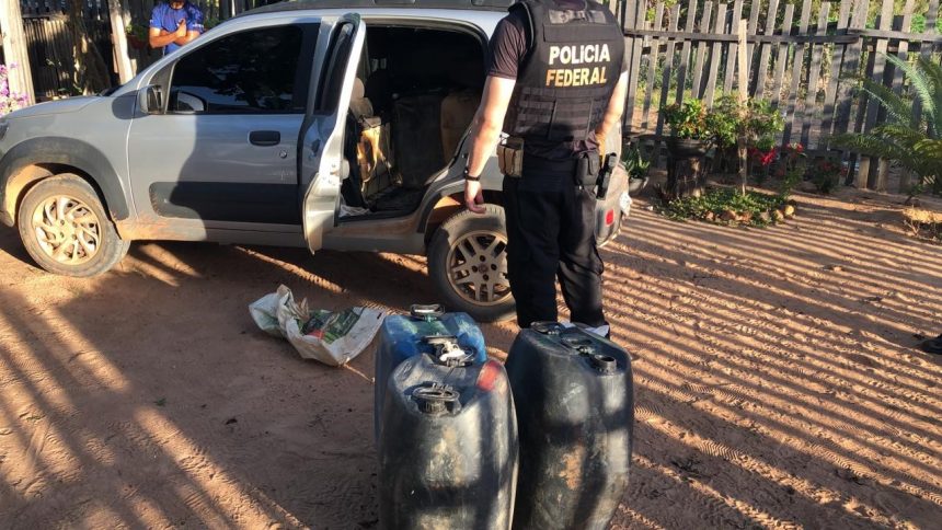 PF prende dois homens por transporte ilegal de 21 imigrantes