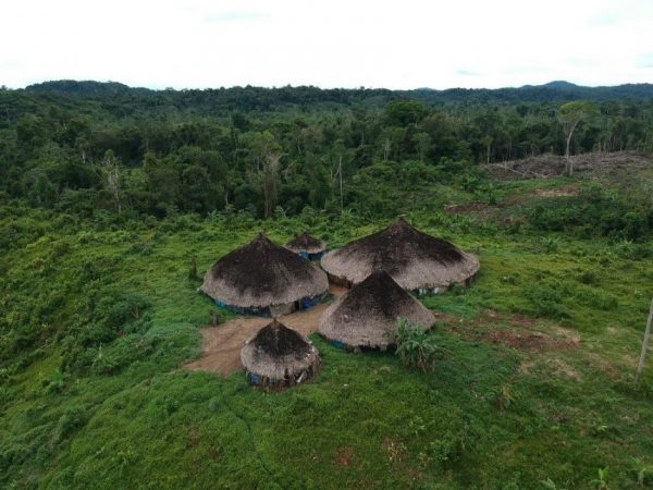 Corpos de crianças Yanomami vítimas da covid-19 são devolvidos às comunidades