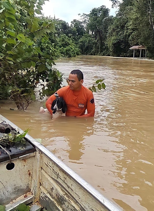 Enchente deixa 12 famílias ilhadas em vicinal ao Norte de Roraima