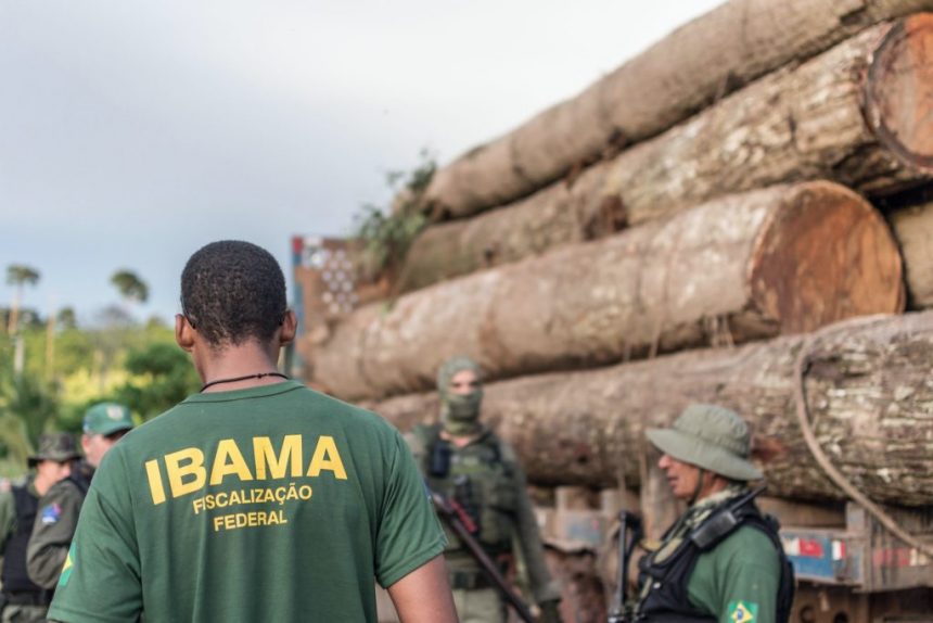 Ibama lança concurso com vagas para RR; remuneração é de R$ 4 mil