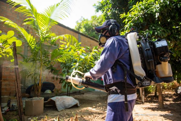 Infestação de Aedes Aegypti reduz 57% em Boa Vista