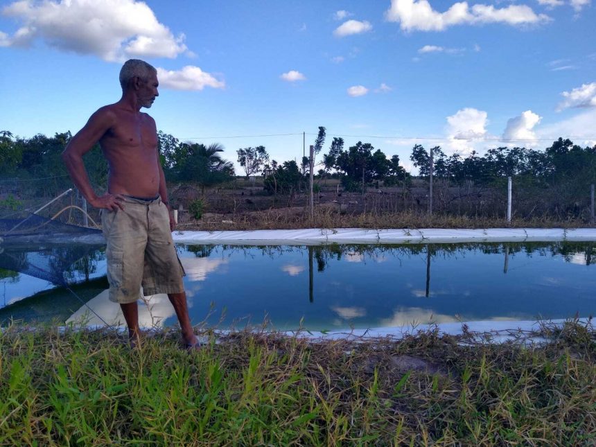 Vila do Passarão: quedas de energia prejudicam comércio e pequeno produtor