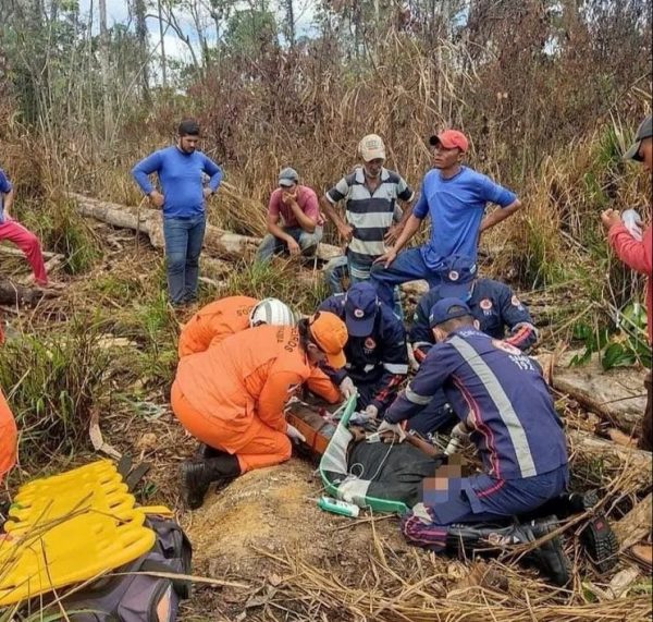 Homem Morre Após Ser Atingido Por Queda De árvore Roraima Em Tempo 8020