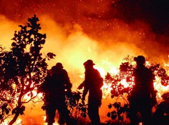 Incêndio atinge vegetação no Distrito Industrial, em Boa Vista