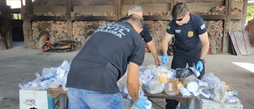 Polícia Civil incinera 48 kg de drogas em Boa Vista