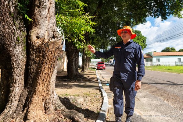 Defesa Civil alerta sobre cuidados para cortes de árvores em Boa Vista