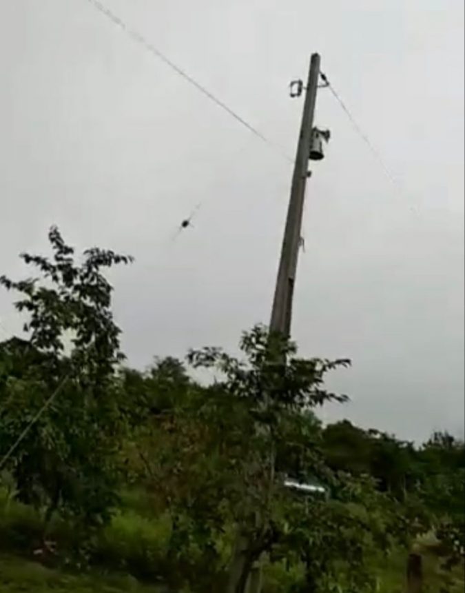 Agricultores denunciam que estão há dois meses sem energia elétrica em vicinal do Bonfim: ‘perdendo produção de graviola’; veja vídeo