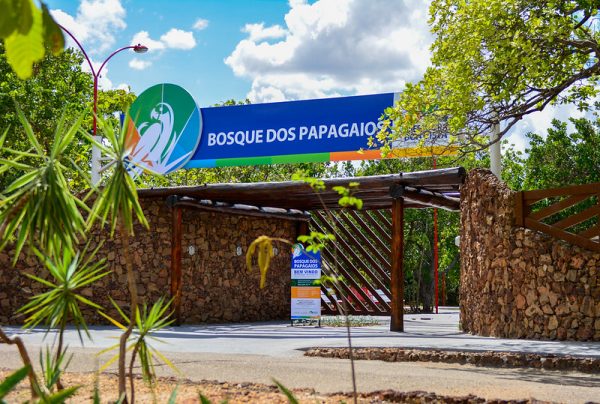 Bosque dos Papagaios: espaço rico em biodiversidade é opção de lazer em Boa Vista