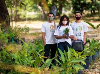 Horto disponibiliza mas de 50 espécies de plantas para doação