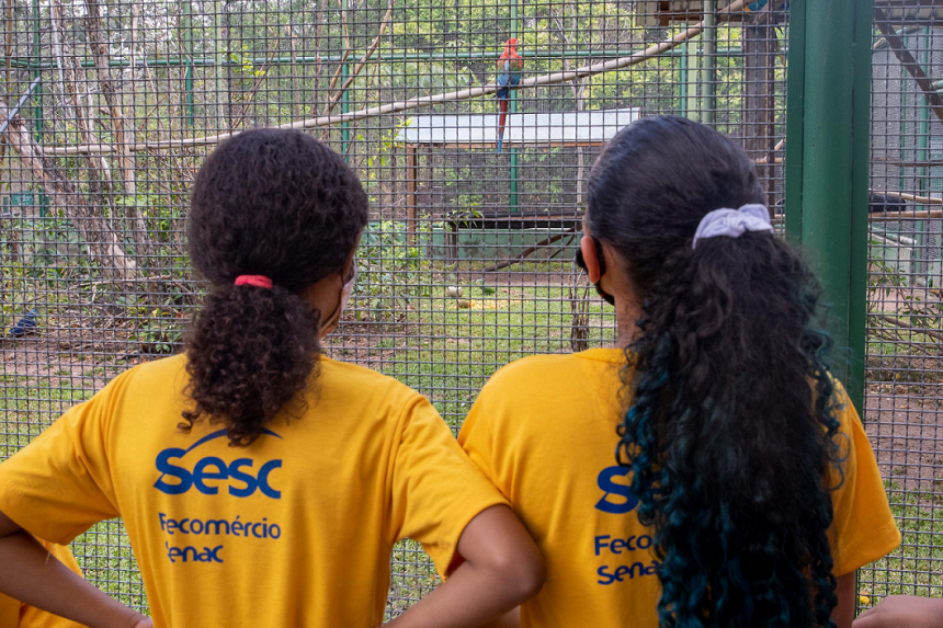 Sesc realiza passeio turístico ao Bosque dos Papagaios neste sábado