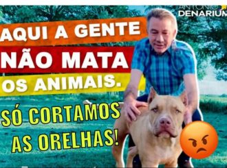 Denarium faz post para criticar Teresa e o “feitiço virou contra o feiticeiro”