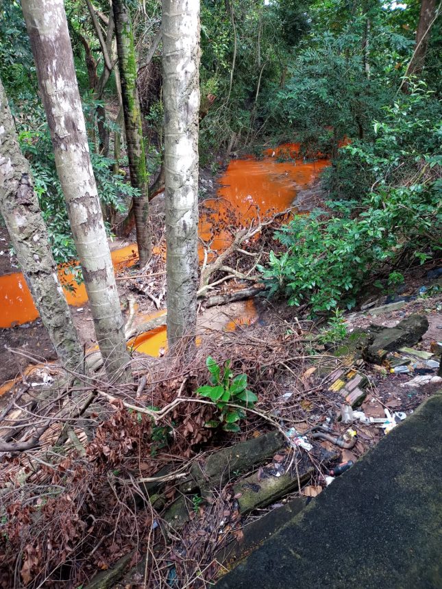 População registra água com coloração avermelhada em igarapé de Boa Vista