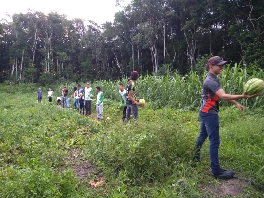 IFRR lança seletivo para trabalhar em pós-graduação em Agroecologia e Educação do Campo