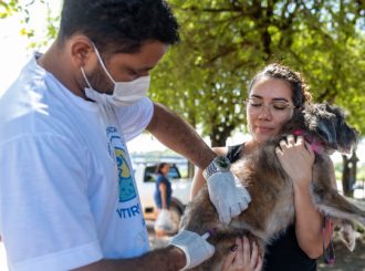 Campanha de vacinação para cães e gatos em Boa Vista continua neste sábado em Boa Vista
