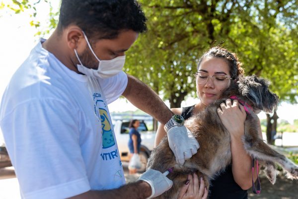 Campanha de vacinação para cães e gatos em Boa Vista continua neste sábado em Boa Vista