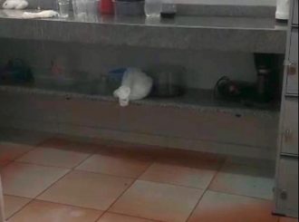 Descaso: depois da queda de forros, sangue escorre pelo teto do novo bloco do HGR