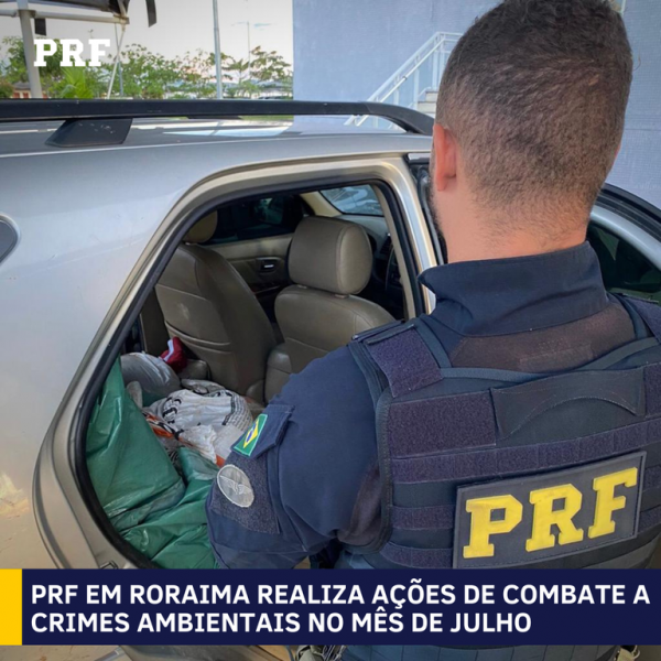 PRF divulga balanço de ações em combate a crimes ambientais em Roraima