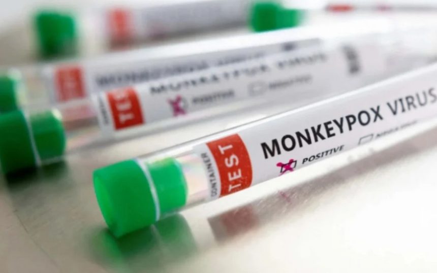 OMS recomenda mudança do nome varíola dos macacos para mpox como forma de evitar conotações racistas