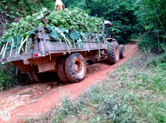 Produtores de banana do Sul de Roraima realizam protesto contra compradores do Amazonas