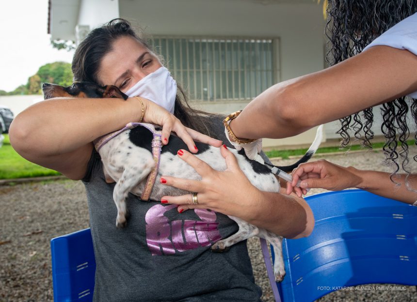 Mais de 3 mil animais foram imunizados com vacina antirrábica em área rural