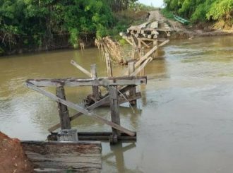 Produtores rurais do Caroebe perdem produção por conta de ponte quebrada
