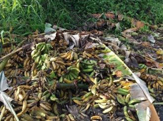 Governo de RR não arrumou ponte e produtores perderam produção