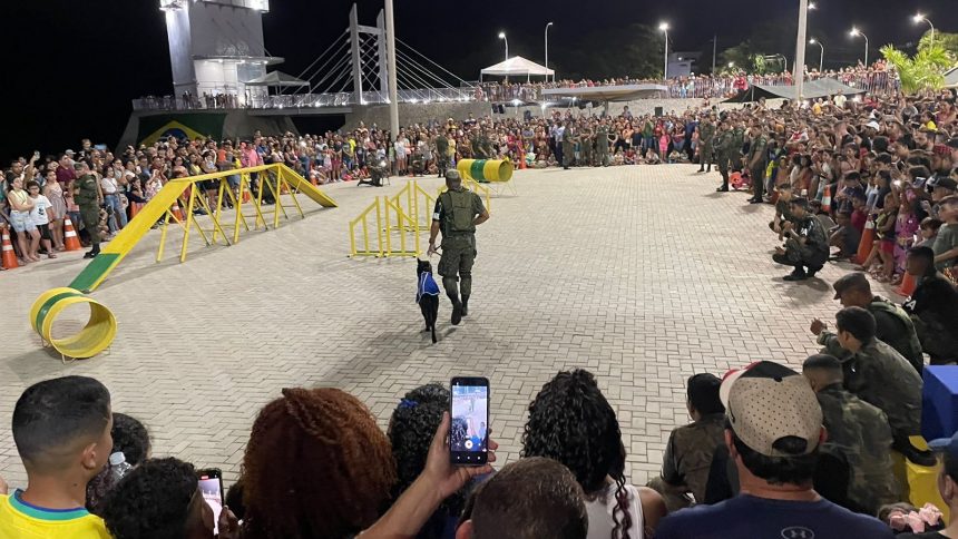 No Dia do Aviador, FAB realiza ‘Domingo Aéreo’ no Parque do Rio Branco