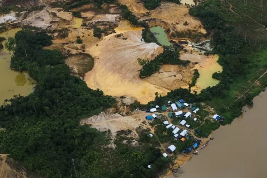 Operação apreende 19 aeronaves, 73 mil litros de combustíveis, 6 toneladas de minérios e prende 16 pessoas na TI Yanomami