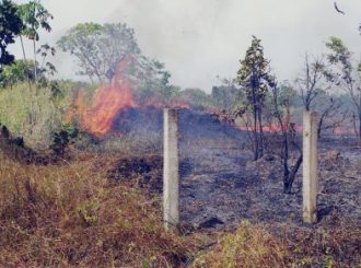 Governo decreta situação de emergência em nove municípios devido estiagem em Roraima