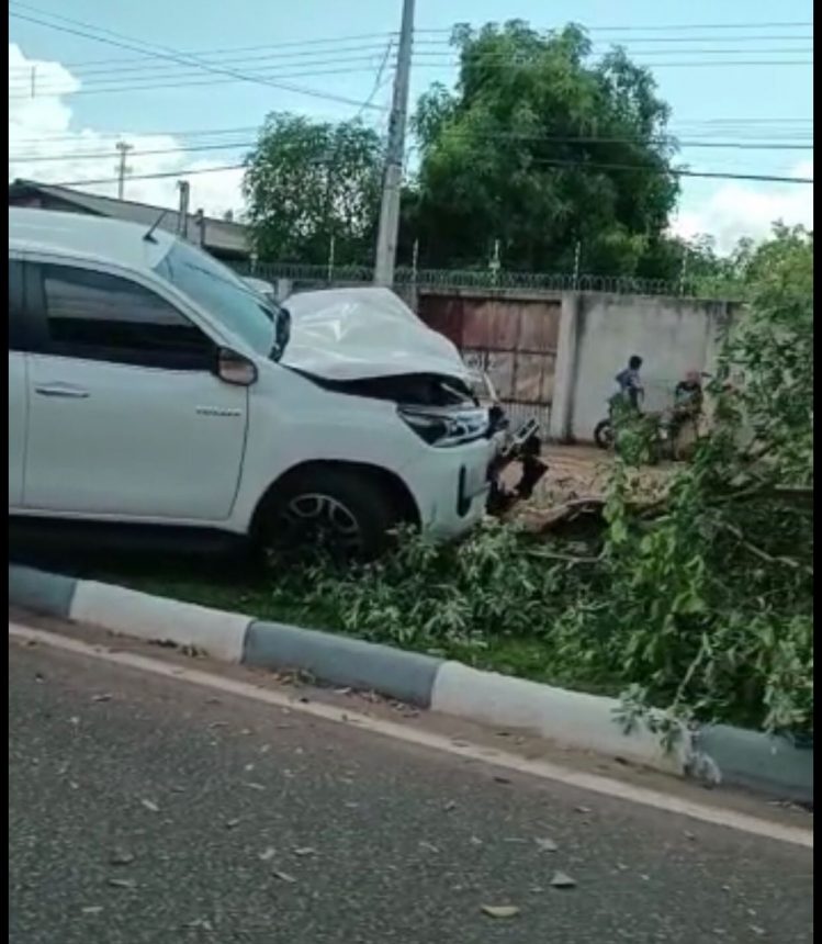 Motorista de caminhonete dorme ao volante e bate carro em árvore no bairro Pricumã