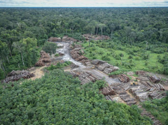 Justiça Federal obriga desocupação de áreas invadidas em terra indígena de RR