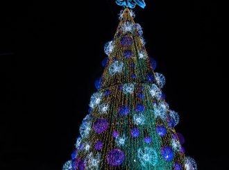 Acendimento de luzes de árvores de Natal gigantes em praças de Boa Vista encanta população